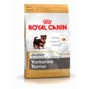 Royal Yorkshire Terrier Junior 1 KG